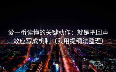 爱一番读懂的关键动作：就是把回声效应写成机制（我用提纲法整理）